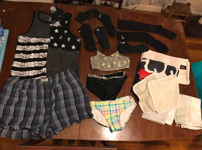 Woman Learns Her Cat Has Been Stealing Neighbors' Laundry, Asks People To Identify Their Things And Shame The Cat