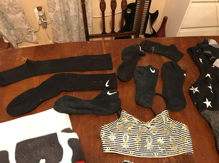 Woman Learns Her Cat Has Been Stealing Neighbors' Laundry, Asks People To Identify Their Things And Shame The Cat