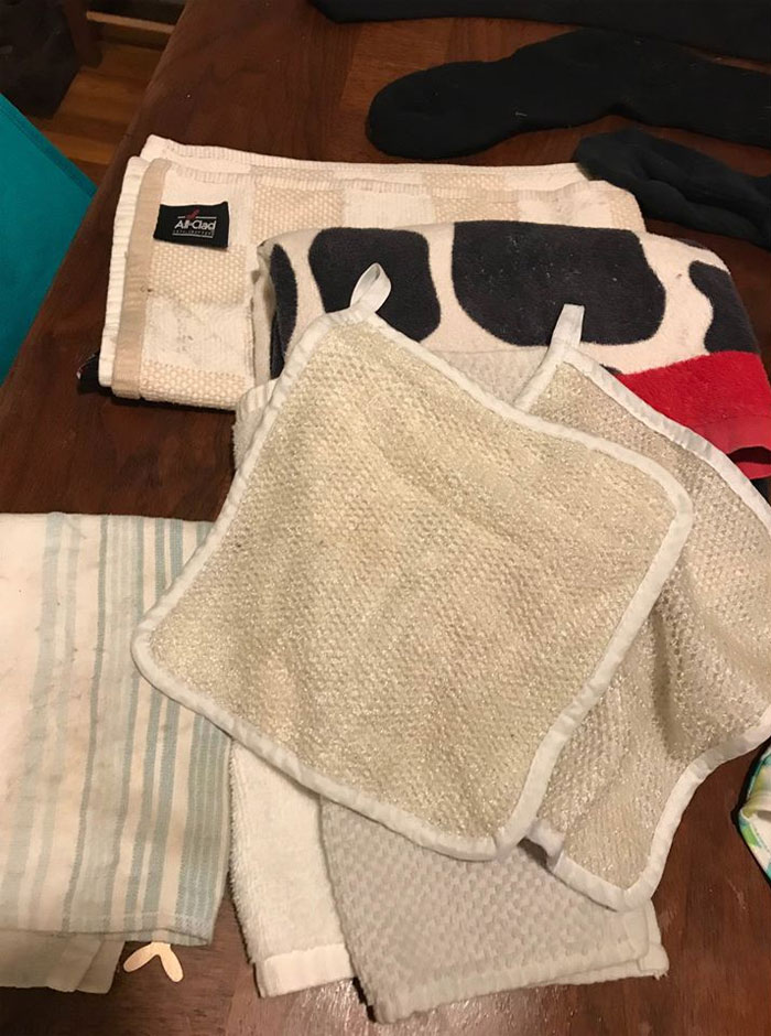 Woman Learns Her Cat Has Been Stealing Neighbors' Laundry, Asks People To Identify Their Things And Shame The Cat