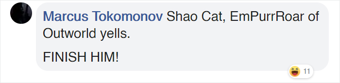 Woman Captures Hilarious Video Of A Cat Watching Two Rats Fight