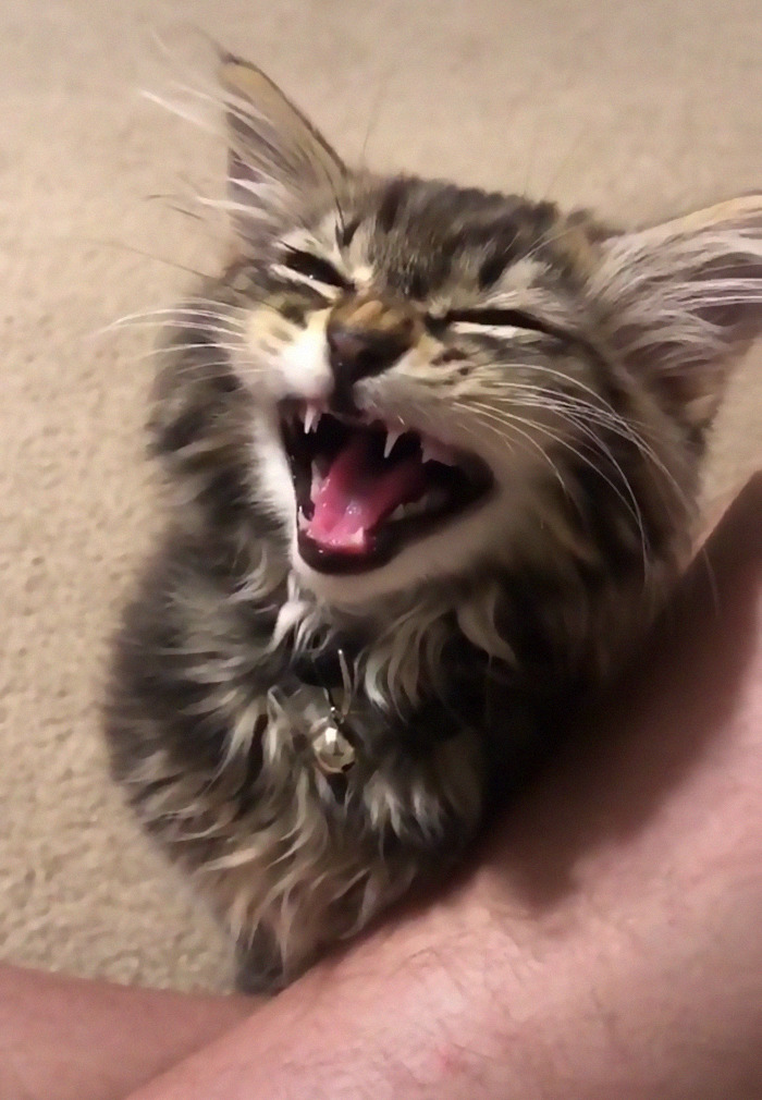 It Was Worth Waiting Until The End.