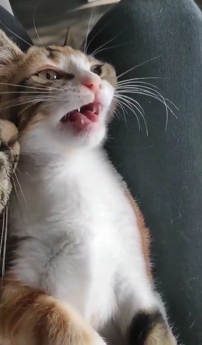 Her Yelling Had Her Brothers Worried