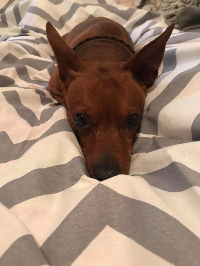 Charles Junior Cute Look :)