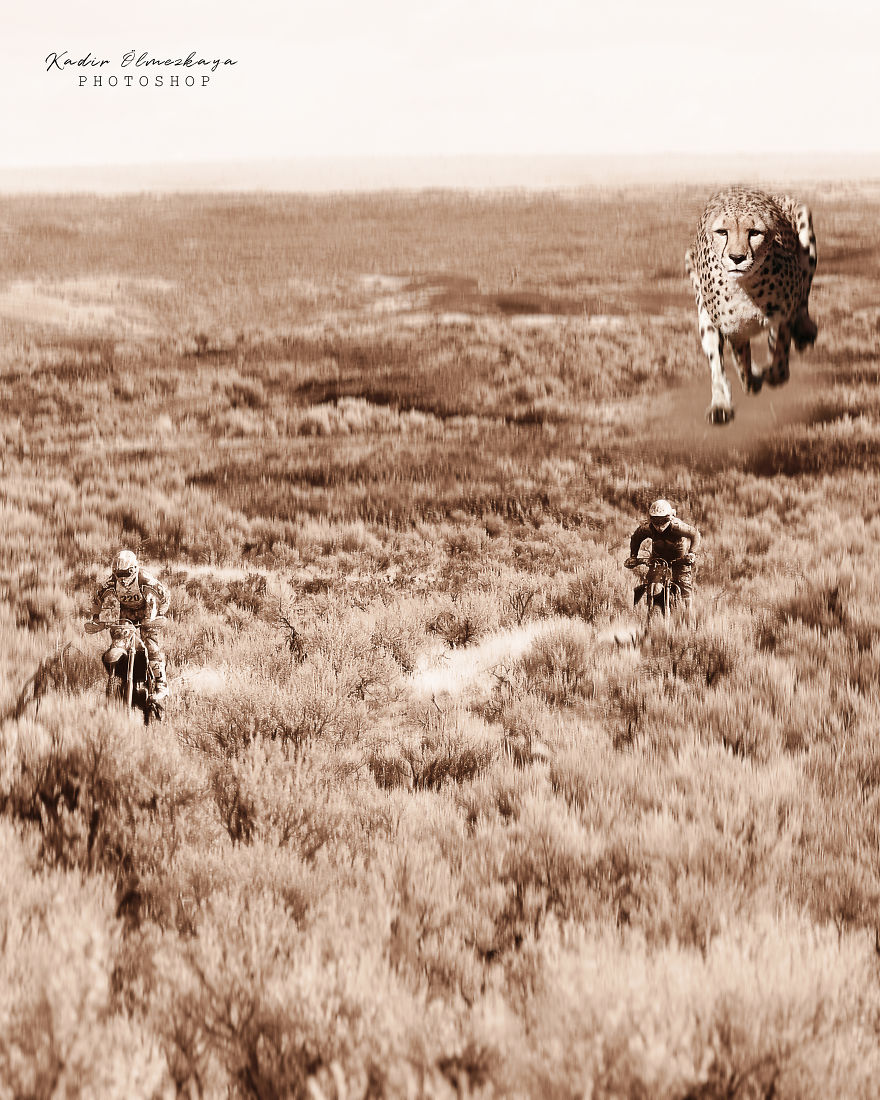 I Create These Photo Manipulations With Animals And Nature (10 Pics)