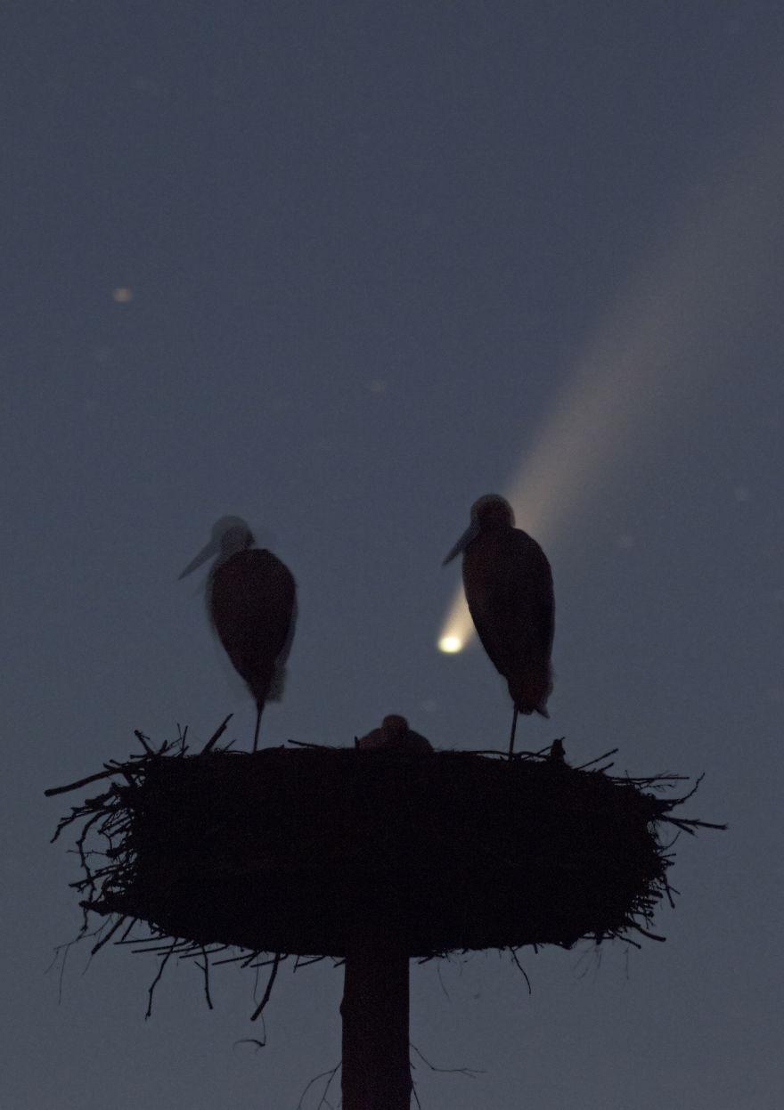 I've Used A Once-In-A-Lifetime Chance To Capture The Neowise Comet (13 Pics) I've Used A Once-In-A-Lifetime Chance To Capture The Neowise Comet (13 Pics)