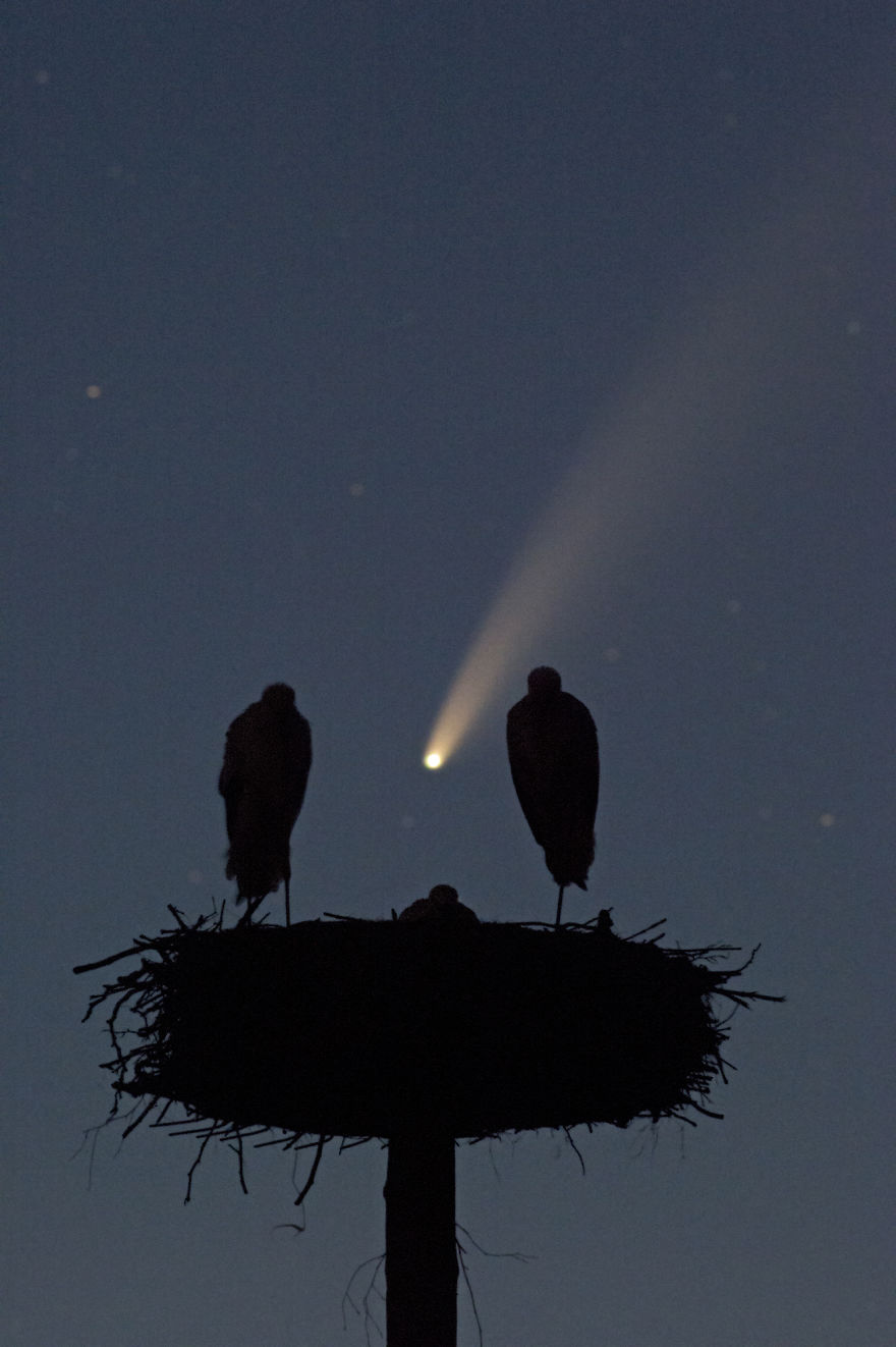 I've Used A Once-In-A-Lifetime Chance To Capture The Neowise Comet (13 Pics)