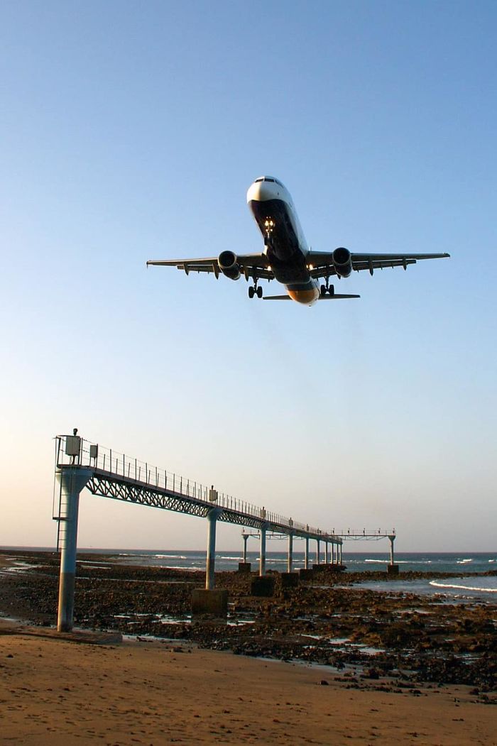 People Are Comforting Each Other With Uplifting Facts, And Here Are 30 Of The Best Ones