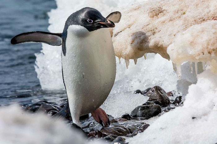 People Are Comforting Each Other With Uplifting Facts, And Here Are 30 Of The Best Ones