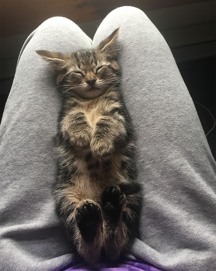 People Are Comforting Each Other With Uplifting Facts, And Here Are 30 Of The Best Ones