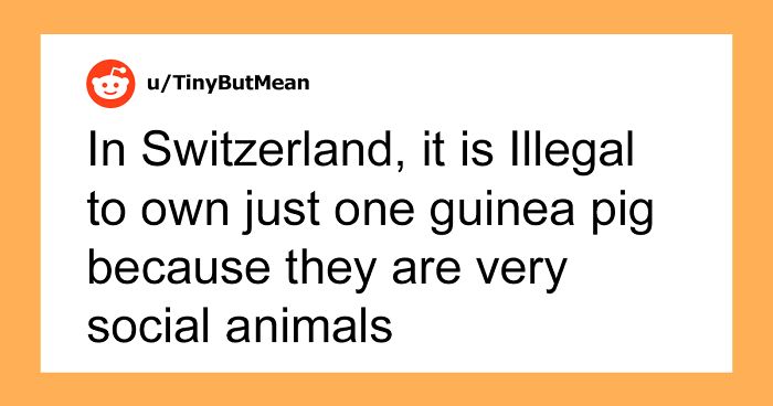 People Are Comforting Each Other With Uplifting Facts, And Here Are 30 Of The Best Ones