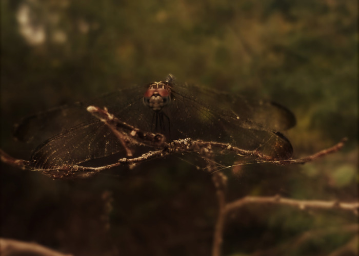 I’m A 16-Year-Old Photographer, And I View The World Through Photos