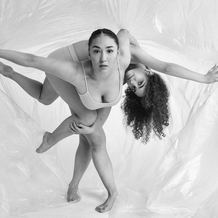 Here Are My Series ‘Plastification’