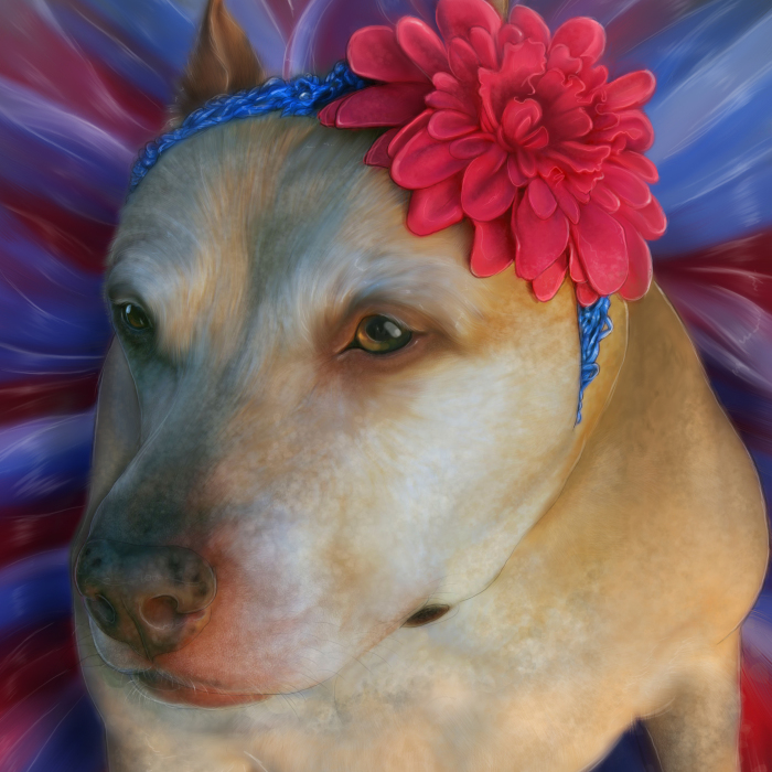 I Bring Dead Pets Back To Life