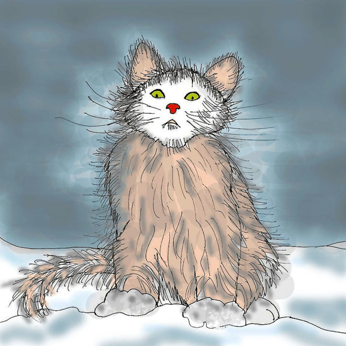 Here Are My 14 Drawings Of Cats