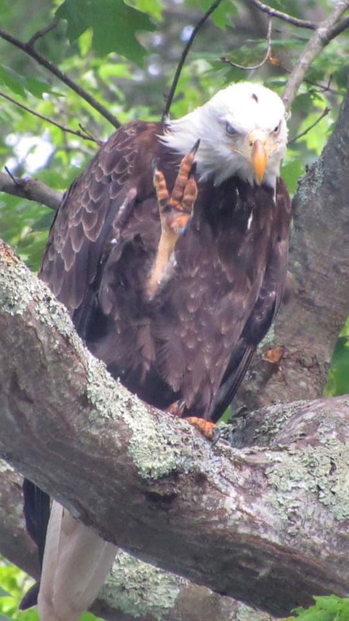 Peace On The Delaware River, NY ✌️