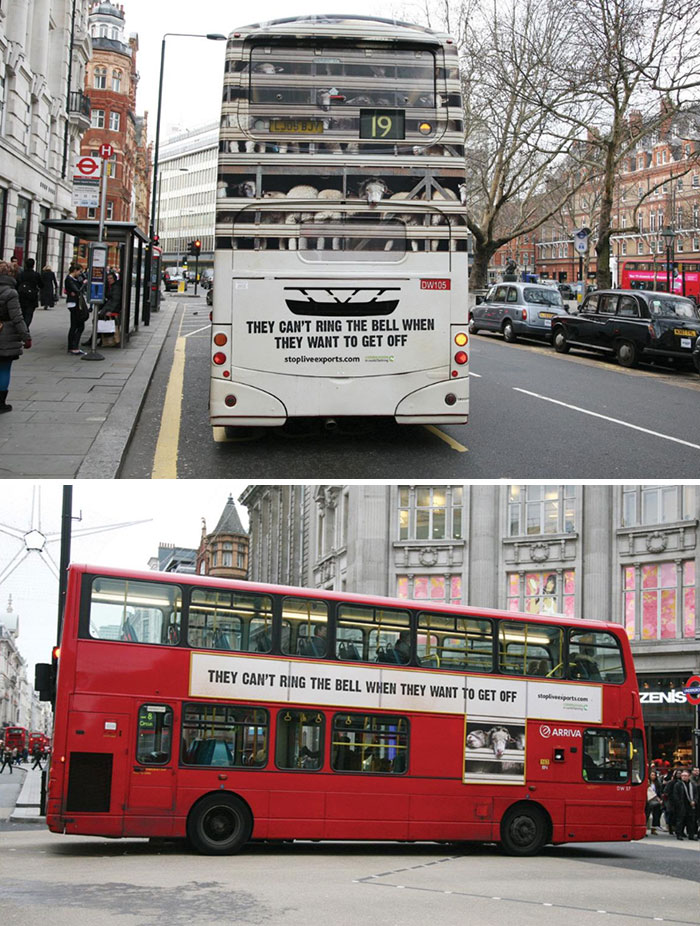 Compassion In World Farming: Stop Live Exports