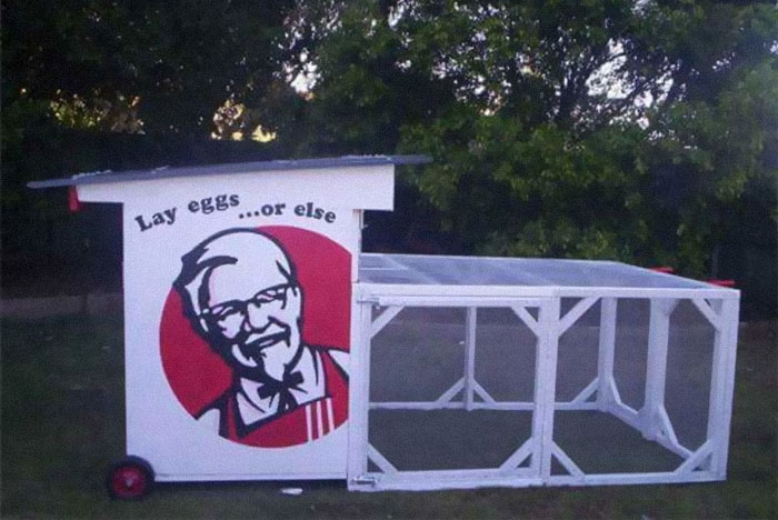 Creative-Chicken-Coops-Designs