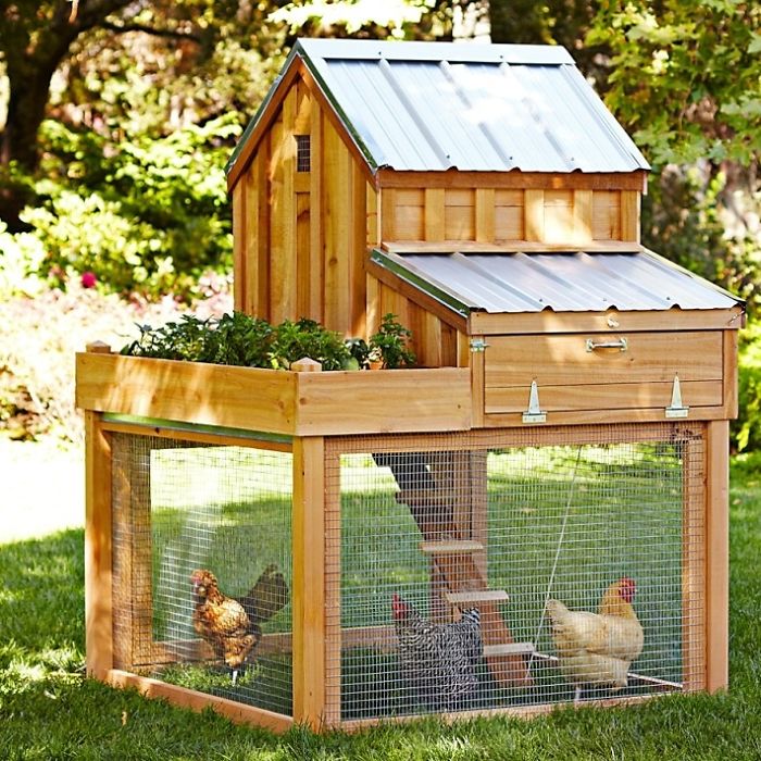 Creative-Chicken-Coops-Designs