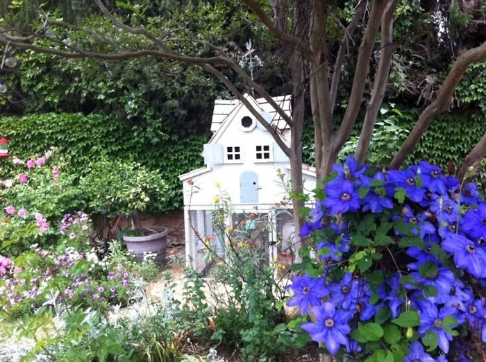 Creative-Chicken-Coops-Designs