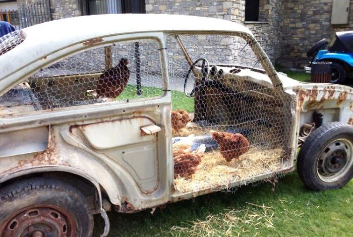 Creative-Chicken-Coops-Designs