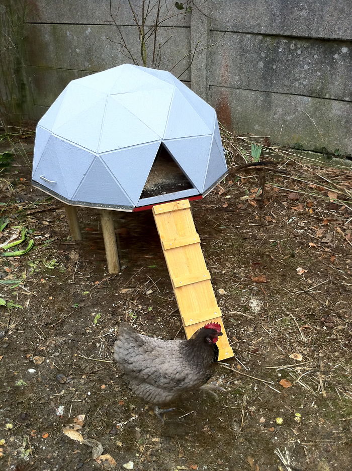 Creative-Chicken-Coops-Designs