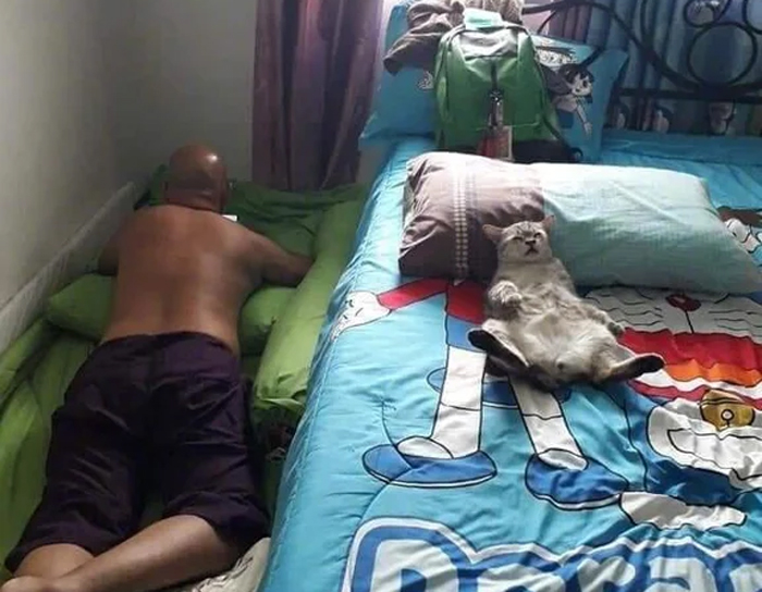 50 Dads Who Didn’t Want The Damn Pet In Their Lives