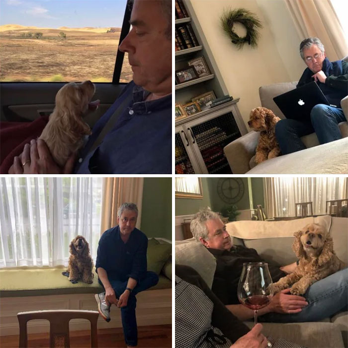 Now Dad Gets Mad Whenever Anyone Calls Him Bad Dog Bc He's A Sensitive Breed