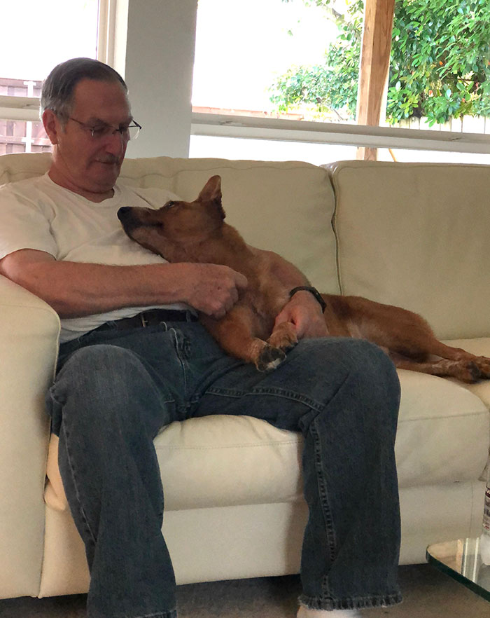 Five Years Ago My Dad Said He Didn’t Want A Dog. Here’s Their Sunday Afternoon Together