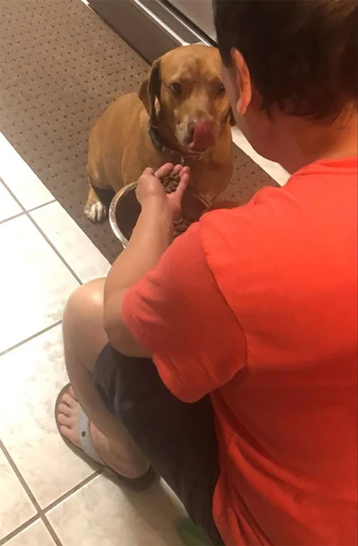 From "Never Again" To Hand Fed