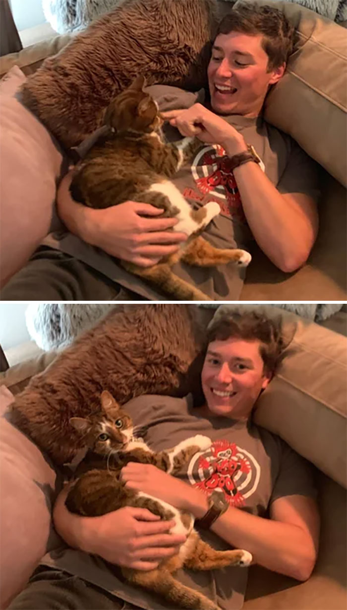 My Fiancé Did Not Want Another Cat. Here He Is 3 Years Later