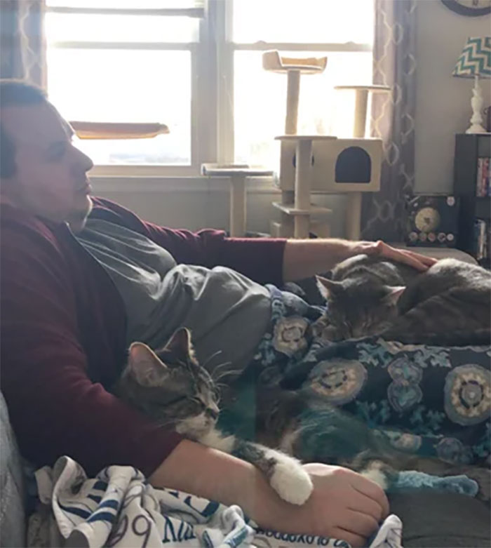 Used To Hate Cats. Now He “Doesn’t Want To Mistreat Them By Getting Up”