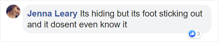 The 'Dead Man's Fingers' Fungus Looks As Creepy As It Sounds, And Here Are 6 Pics To Prove It