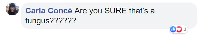 The 'Dead Man's Fingers' Fungus Looks As Creepy As It Sounds, And Here Are 6 Pics To Prove It