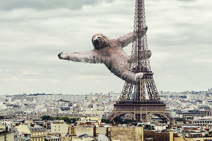 Digital Artists Photoshopped Oversized Animals And The Result Might Give You Nightmares (110 Pics)