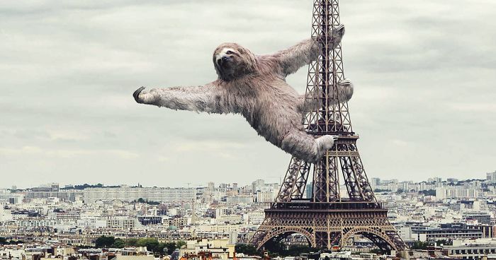 Digital Artists Photoshopped Oversized Animals And The Result Might Give You Nightmares (110 Pics)