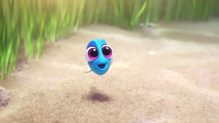Finding Dory