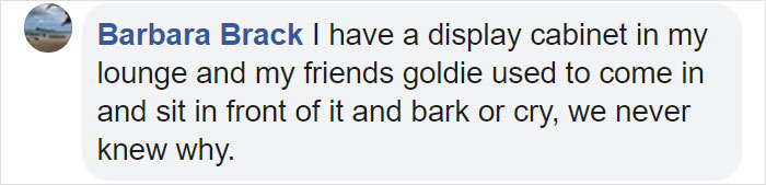 People Are Loving This Golden Retriever’s Confused Reaction To Finding His Owner In The Mirror During Hide And Seek People Are Loving This Golden Retriever’s Confused Reaction To Finding His Owner In The Mirror During Hide And Seek