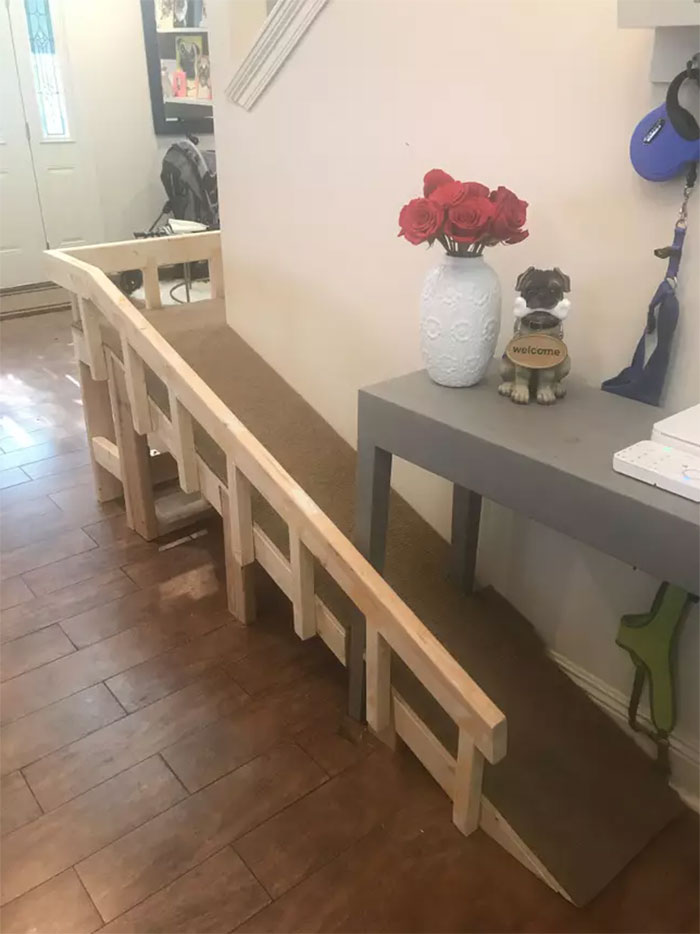 Dog Owner Builds A &lsquo;Doggie-Vator&rsquo; Stairlift For Her Three Elderly Rescued Pugs And People Find It Adorable