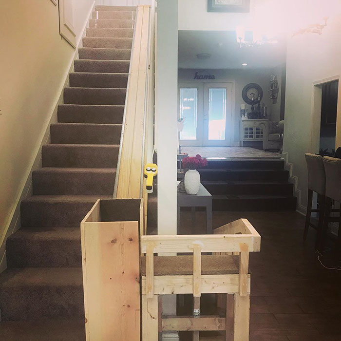 Dog Owner Builds A &lsquo;Doggie-Vator&rsquo; Stairlift For Her Three Elderly Rescued Pugs And People Find It Adorable