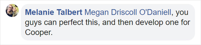 Dog Owner Builds A &lsquo;Doggie-Vator&rsquo; Stairlift For Her Three Elderly Rescued Pugs And People Find It Adorable