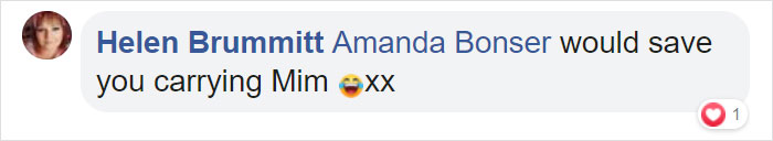 Dog Owner Builds A &lsquo;Doggie-Vator&rsquo; Stairlift For Her Three Elderly Rescued Pugs And People Find It Adorable