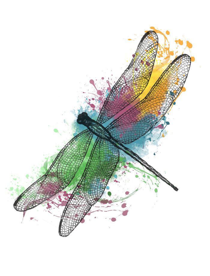 Dragonfly Tattoo Design (Commission)