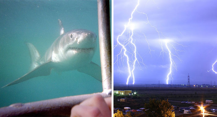 People Are Sharing Mind-Blowing Facts Fit For 5-Year-Olds And Here's 30 Of The Most Interesting Ones