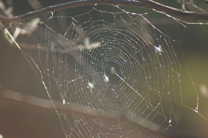 People Are Sharing Mind-Blowing Facts Fit For 5-Year-Olds And Here's 30 Of The Most Interesting Ones