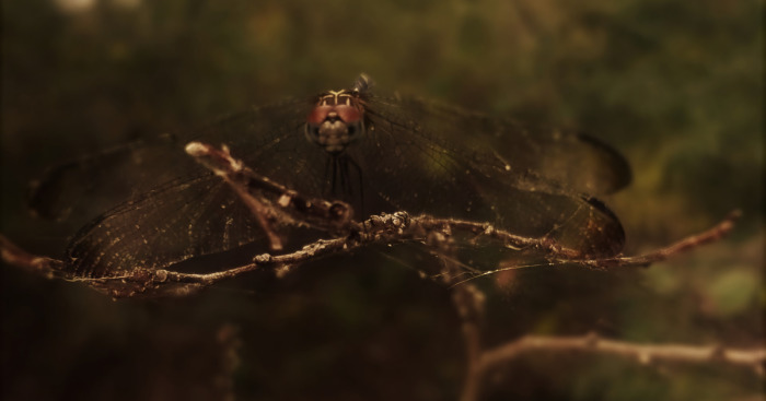 I’m A 16-Year-Old Photographer, And I View The World Through Photos