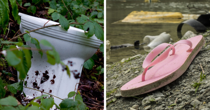 Things I Find In The Woods