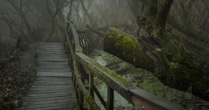 My Collection Called ‘The Journey’ (30 Pics)