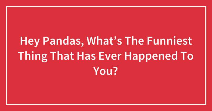 Hey Pandas, What’s The Funniest Thing That Has Ever Happened To You? (Ended)