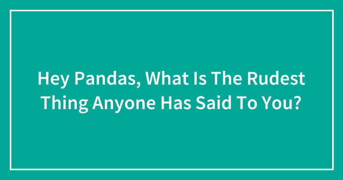 Hey Pandas, What Is The Rudest Thing Anyone Has Said To You? (Ended)