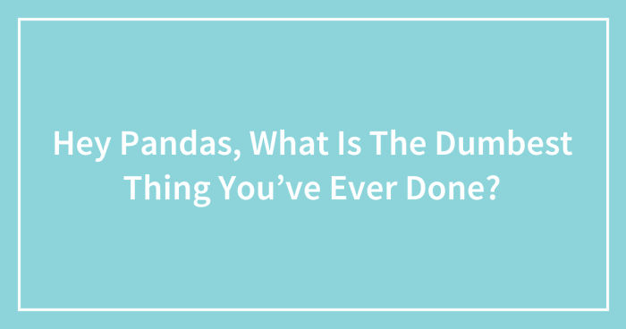 Hey Pandas, What Is The Dumbest Thing You’ve Ever Done? (Ended)